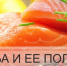 О пользе рыбы - Зольский район